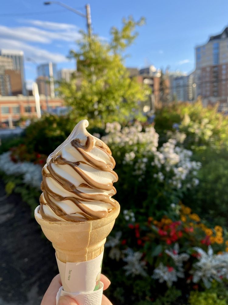 MOO’S COUNTRY ICE CREAM Updated September 2024 15 Photos 698 Eau