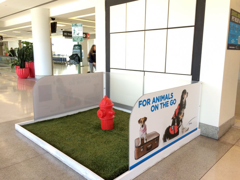 Open for Business ARTIFICIAL GRASS PROS OF EL PASO El Paso, Texas