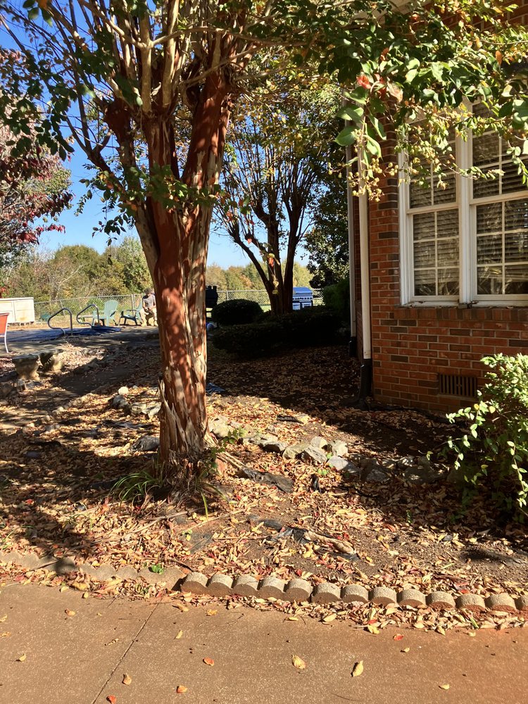 Slide of That guy landscaping