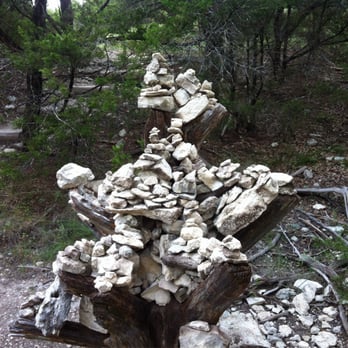 River Place Nature Trail - Rock tree - Hiking Near Me - Austin, Texas