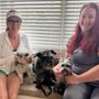 Photo of Park Place Animal Hospital