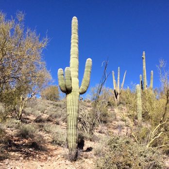 Sophie's Flat Trailhead - View hiking out of the wash and onto the plateau - Hiking Near Me - Wickenburg, Arizona Sophie's Flat Trailhead - View hiking out of the wash and onto the plateau - Hiking Near Me - Wickenburg, Arizona