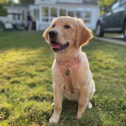 3 month old Dolly