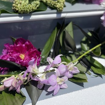 Twins Flower Growers - Fresh variegated orchids were so beautiful. - Florists Near Me - Carlsbad, California Twins Flower Growers - Fresh variegated orchids were so beautiful. - Florists Near Me - Carlsbad, California