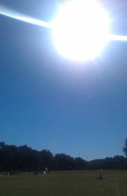 Forsyth Park by null