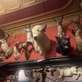Buckhorn Exchange - Steakhouses Near Me - Denver, Colorado