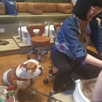 Pink Pedi Salon - Raise your paw if this is relaxing - Nail Salons Near Me - Dallas, Texas Pink Pedi Salon - Raise your paw if this is relaxing - Nail Salons Near Me - Dallas, Texas