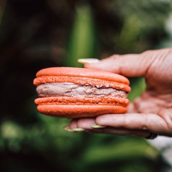 Delights by Daxton - Ice cream macaroon sandwich - Ice Cream & Frozen Yogurt Near Me - Birmingham, Michigan Delights by Daxton - Ice cream macaroon sandwich - Ice Cream & Frozen Yogurt Near Me - Birmingham, Michigan