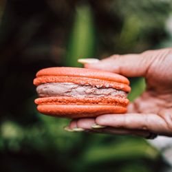Delights by Daxton - Ice cream macaroon sandwich