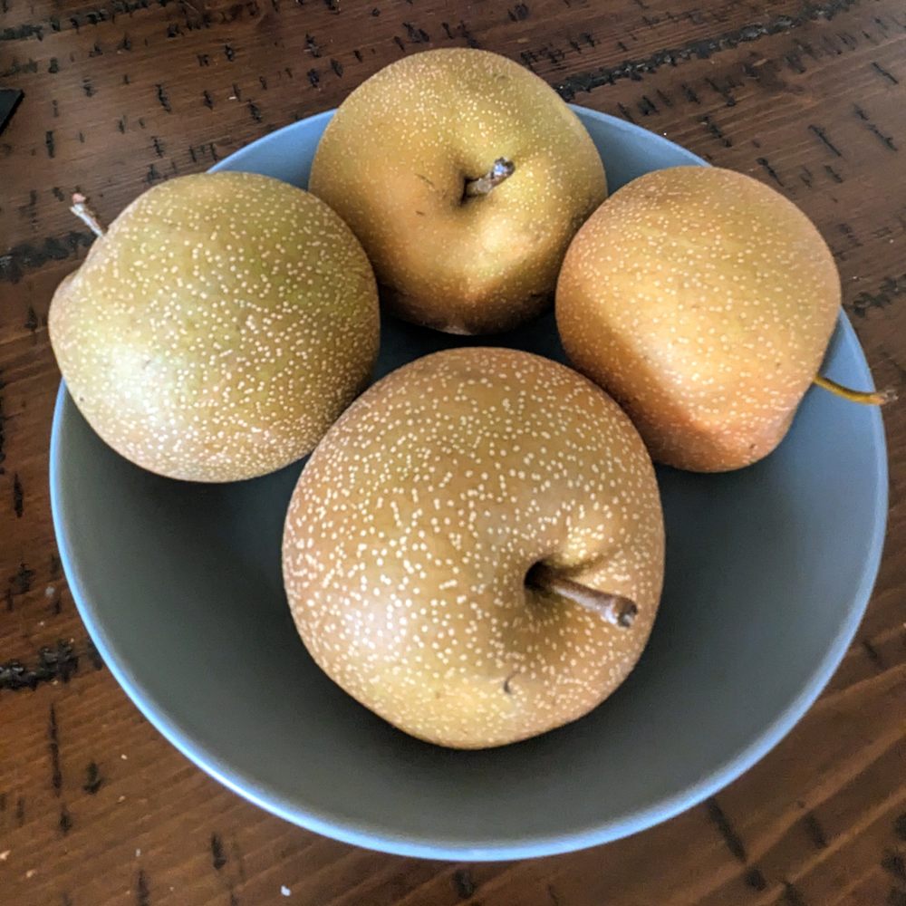 Boa Vista Orchards - Fruits & Veggies Near Me - Placerville, California