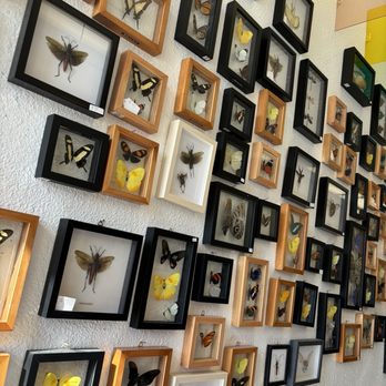 Hooray Coffee - Coffee & Tea Near Me - Redlands, California