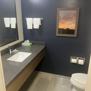 Fairfield by Marriott Inn & Suites Auburn Opelika - Bathroom - Hotels Near Me - Opelika, Alabama Fairfield by Marriott Inn & Suites Auburn Opelika - Bathroom - Hotels Near Me - Opelika, Alabama