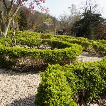 Cedarmere Preserve - Maze - Landmarks & Historical Buildings Near Me - Roslyn, New York