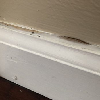 Empire Today - Generated wood dust at tear out then they caulked right over the dust - Carpet Installation Near Me