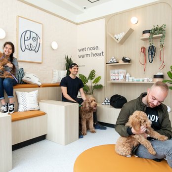 Bond Vet - Kips Bay - Veterinarians Near Me - Manhattan, New York
