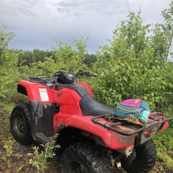 Alaska Off Road Adventures - ATV that I got to drive!