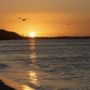 Photo of Dromana Foreshore
