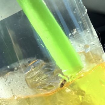 Ding Tea Bradenton - Coffee & Tea Near Me - Bradenton, Florida