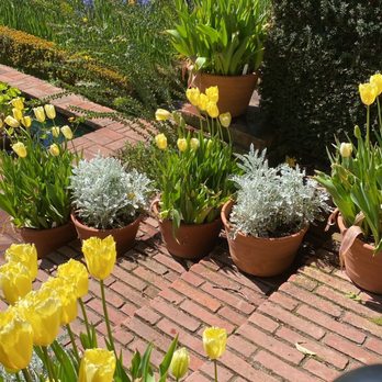 Filoli - Botanical Gardens Near Me - Woodside, California