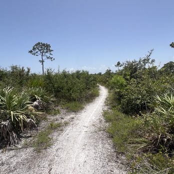 Malabar Scrub Sanctuary Mountain Bike Trails - Hiking Near Me - Malabar, Florida Malabar Scrub Sanctuary Mountain Bike Trails - Hiking Near Me - Malabar, Florida
