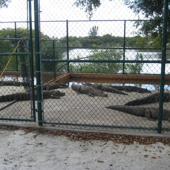gator park - Boat Tours Near Me - Miami, Florida gator park - Boat Tours Near Me - Miami, Florida