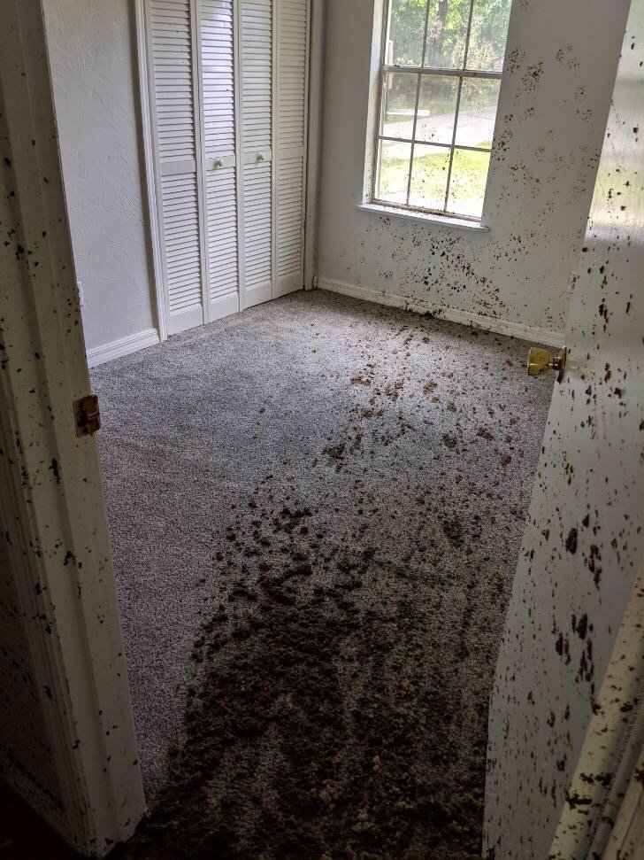 Slide of Dave's Roofing