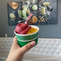 Ever Creamery - Mango & raspberry sorbet