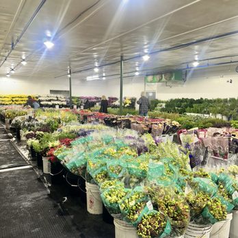 Flora Fresh - Florists Near Me - Sacramento, California Flora Fresh - Florists Near Me - Sacramento, California