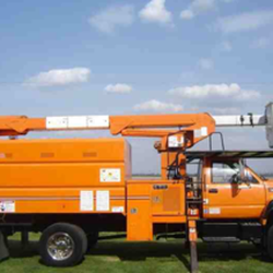 AA Tea's Timber Tree Service - untitled