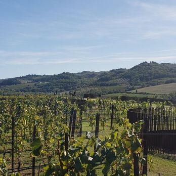 Antinori nel Chianti Classico - Wineries Near Me - Florence, FI