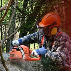 Milam's Tree Service