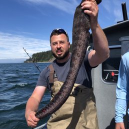 Wolf Eel
