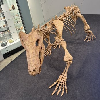 Melbourne Museum - Museums Near Me - Melbourne, VIC Melbourne Museum - Museums Near Me - Melbourne, VIC