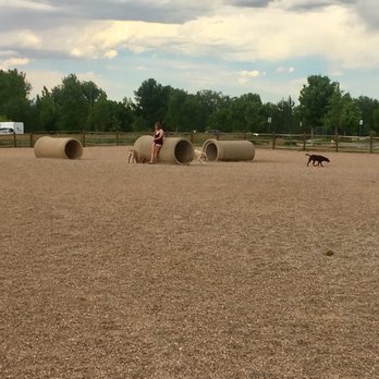 Spring Canyon Dog Park - Parks Near Me - Fort Collins, Colorado Spring Canyon Dog Park - Parks Near Me - Fort Collins, Colorado