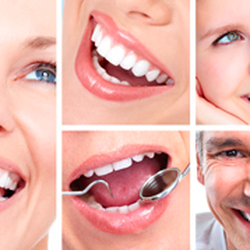 Richard C Paul, DDS