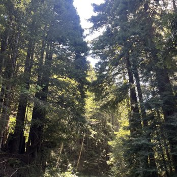 Big River State Park - Redwoods - Hiking Near Me - Mendocino, California Big River State Park - Redwoods - Hiking Near Me - Mendocino, California
