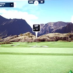 Fore Indoor Golf Club