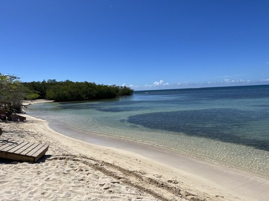 Playa La Jungla by null