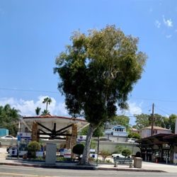 Chevron - Looking east Aug 2022