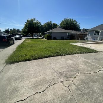Capital Lawn & Pool - Before front yard - Pool Cleaners Near Me Capital Lawn & Pool - Before front yard - Pool Cleaners Near Me