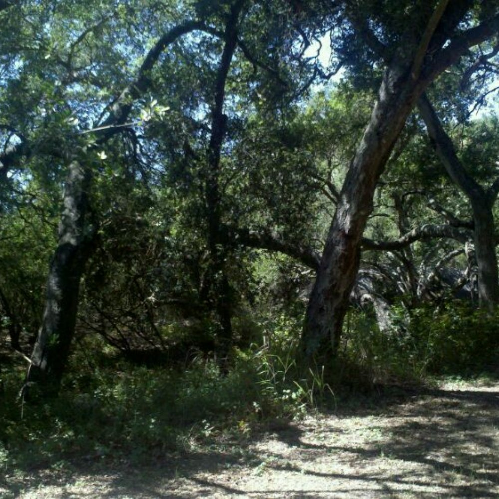 Toro Canyon Park - Hiking Near Me - Montecito, California Toro Canyon Park - Hiking Near Me - Montecito, California