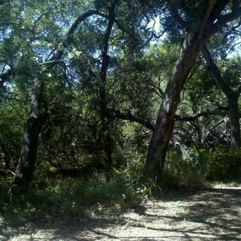 Toro Canyon Park - Hiking Near Me - Montecito, California Toro Canyon Park - Hiking Near Me - Montecito, California