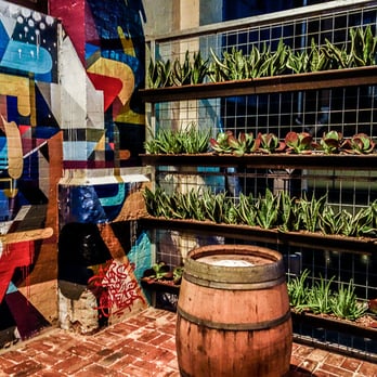 Udaberri Pintxos Y Vino - The wall garden in the back bar at Udaberri. - Restaurants Near Me - Adelaide, SA Udaberri Pintxos Y Vino - The wall garden in the back bar at Udaberri. - Restaurants Near Me - Adelaide, SA