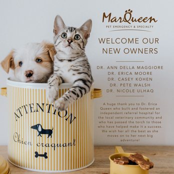 marqueen animal clinic