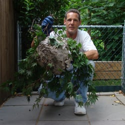 Todd's Pest Control Service