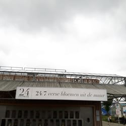 24 Flower