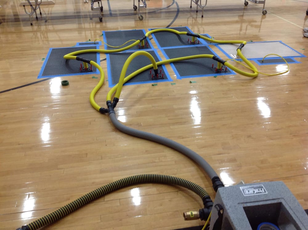 ProCare Services - mold inspector in Cokato, MN