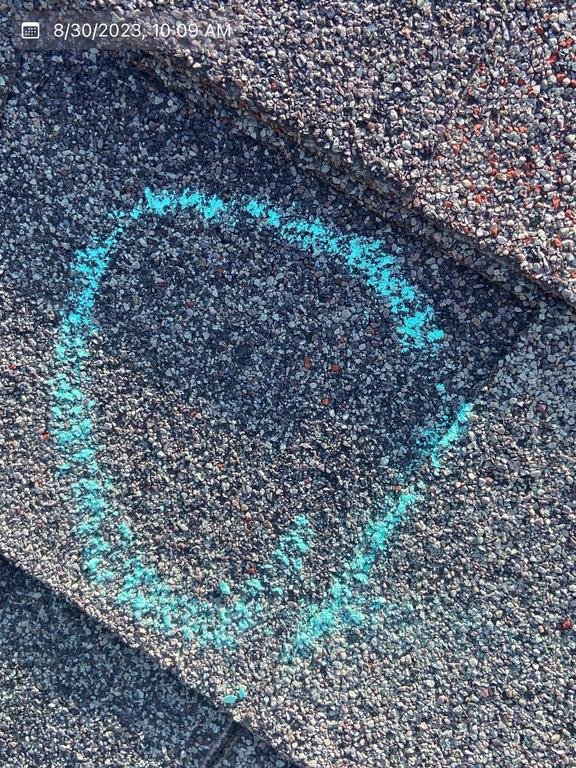 Slide of Roof Monkey