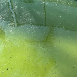 Tricon Residential - Vile unusable pool