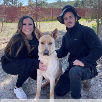 Israelik 9 Tactics - Pet Training Near Me Israelik 9 Tactics - Pet Training Near Me